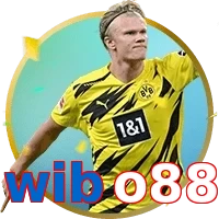 wibo88