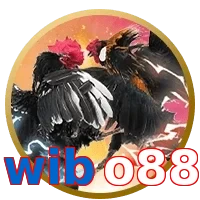 wibo88