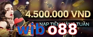 wibo88