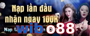 wibo88