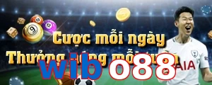 wibo88